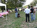 img 095